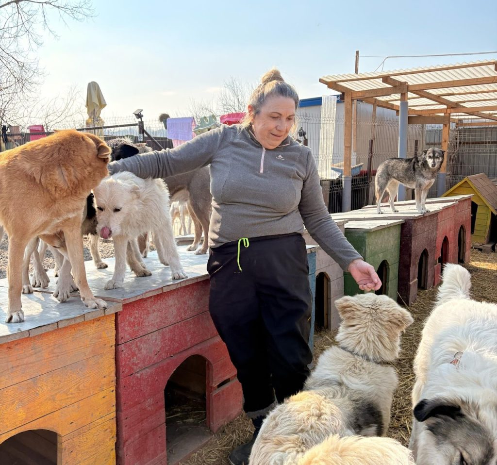Shelter volunteer Monica standing with 4 dogs, 2 standing on the floor and 2 standing on the kennel huts
