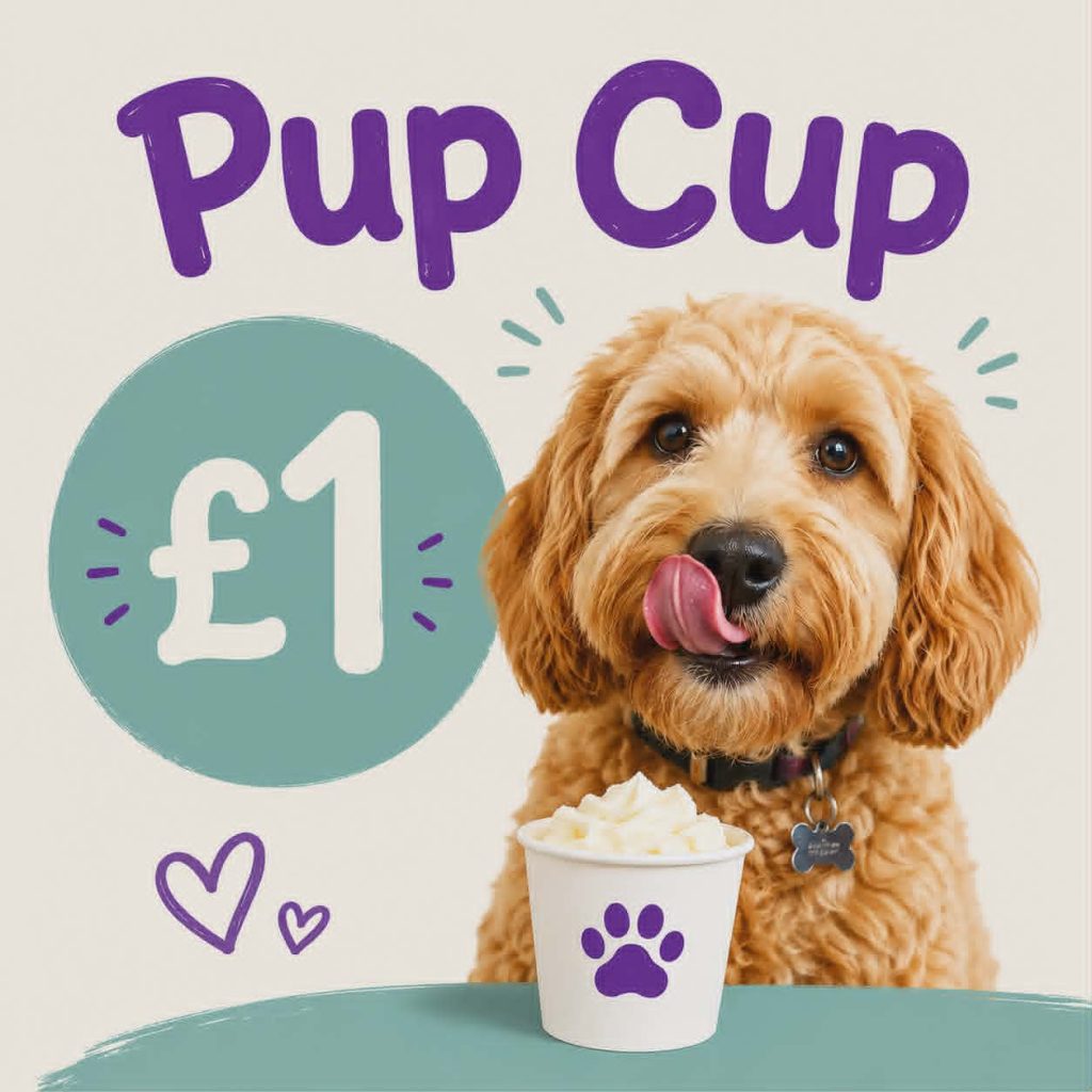 A Special Treat for a Rescue Dog