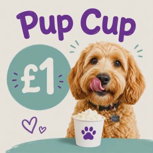 A Special Treat for a Rescue Dog