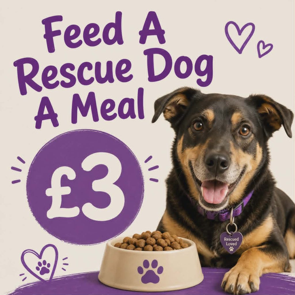 Feed A Rescue Dog A Meal