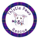 Thistle Paws Rescue